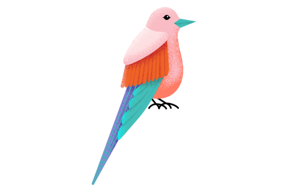 Tropical Bird. Colorful Winged Animal. S: A Display Typeface That Sings