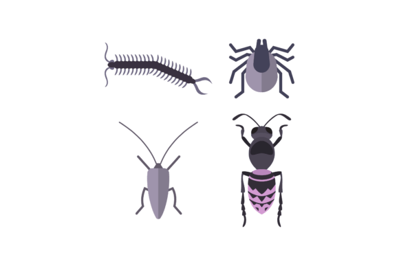 Unleashing Creativity with Insect Animal Vector Design Assets